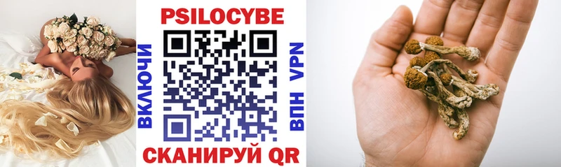 даркнет формула  Инта  Псилоцибиновые грибы мицелий  купить  цена 