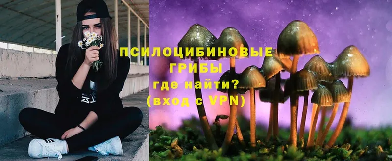 Псилоцибиновые грибы Psilocybe  ссылка на мегу рабочий сайт  Инта 